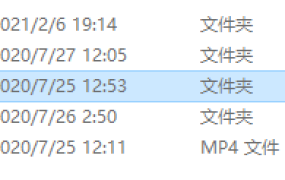 《黑色沙漠2260清凉版》PC单机游戏百度网盘下载