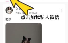 抖音 张有财 微密圈 合集【持续更新ing】